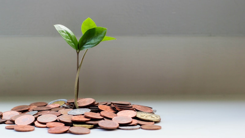 How to Avoid Hidden Currency Exchange Fees on Vacation